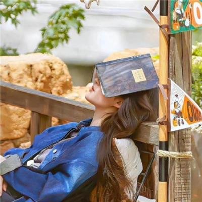 公园男孩:他X的都柏林现场秀