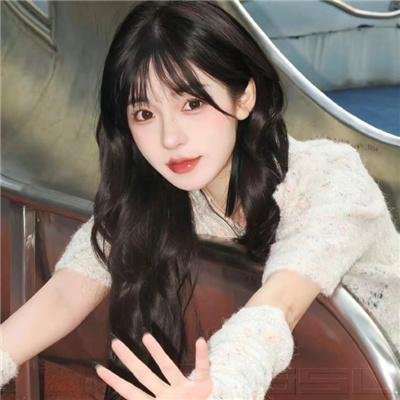 我的天才女友第二季